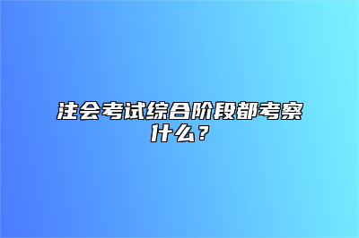 注会考试综合阶段都考察什么？