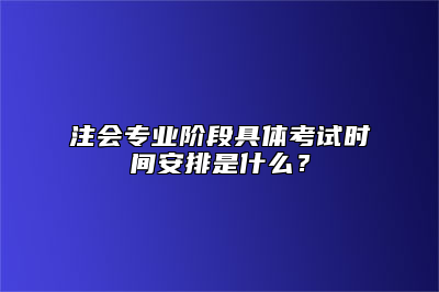 注会专业阶段具体考试时间安排是什么？