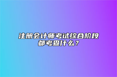 注册会计师考试综合阶段都考查什么？