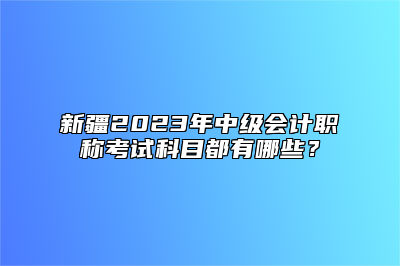 新疆2023年中级会计职称考试科目都有哪些？