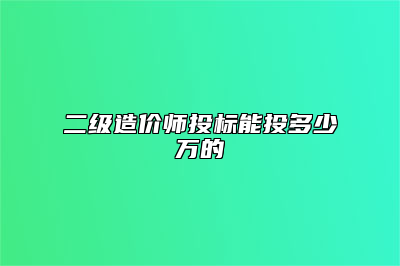 二级造价师投标能投多少万的